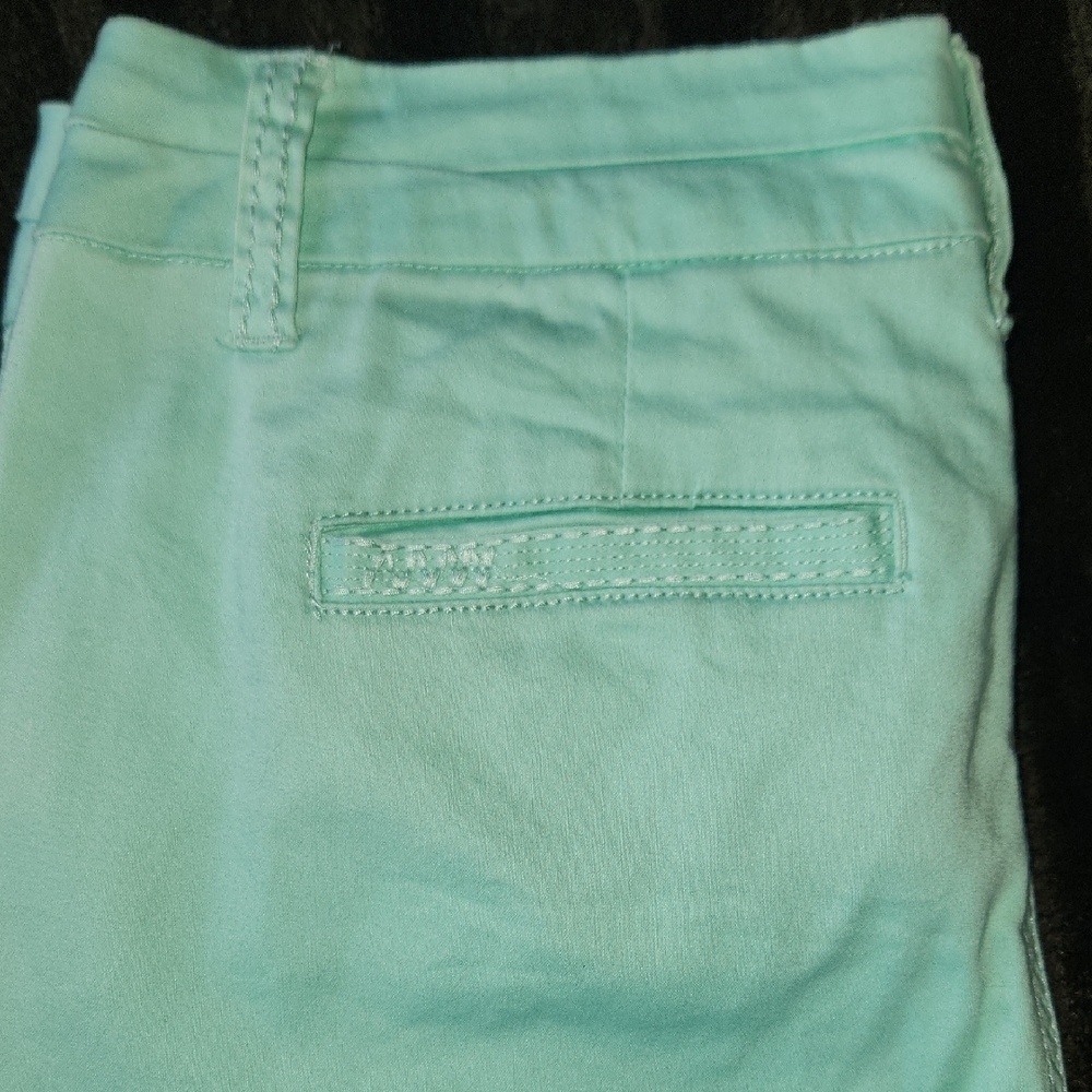 EUC BKE Seafoam Green Peyton Women's Straight Leg Ankle Chinos Sz 29 - Picture 9 of 9